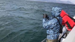 12月12日　タイラバ出船　熊本・天草・三角港・ 遊漁船北斗の釣果情報！