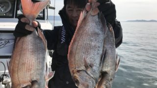 2月24日 熊本・天草・三角港・遊漁船北斗の タイラバでの最新釣果情報!