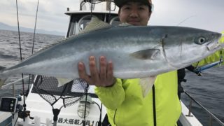 熊本・天草・三角港・遊漁船北斗の最新釣果情報!