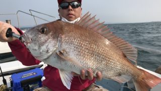 4月11日 天草遊漁船北斗のタイラバ・鯛ジギングでの最新釣果情報!