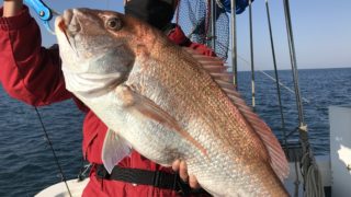 4月29日天草遊漁船北斗のタイラバ・鯛ジギングでの釣果情報!久々のキュウマルオーバーゲット!