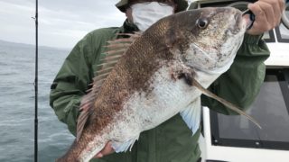 5月９日　天草遊漁船北斗のタイラバでの釣果情報！ナナマルオーバーゲット！