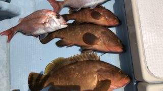 ５月４日　天草遊漁船北斗のタイラバ・鯛ジギングでの釣果情報！