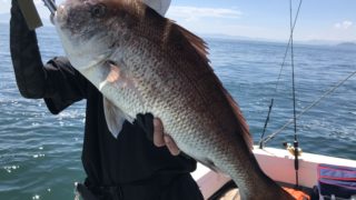 8月30日 マダイジギング・タイラバ出船!