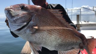 8月13日 タイラバ・鯛ジギング出船