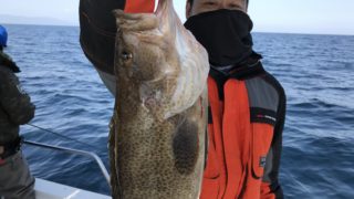 1月31日 タイラバ出船