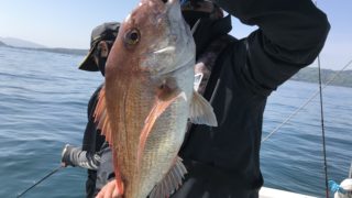 5月3日　タイラバ・鯛ジギング出船