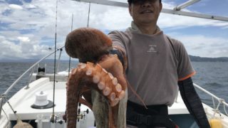 ７月４日　エギタコ出船！