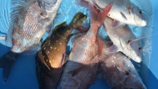 10月９日　タイラバ出船