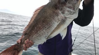 ４月23日　タイラバ・マダイジギング・SLJ