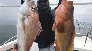 落とし込み＆ノマセ釣り